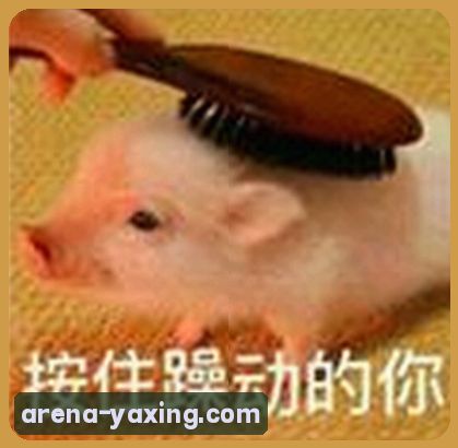 王琳